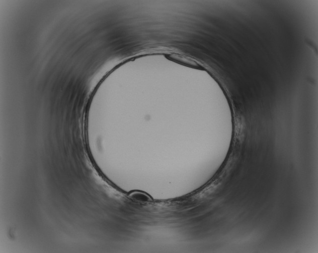 X0000103271054200809261158