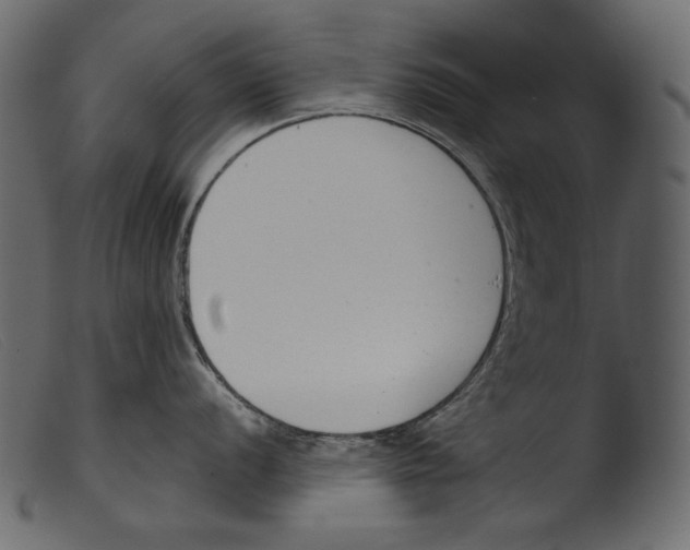 X0000103271056200809261158