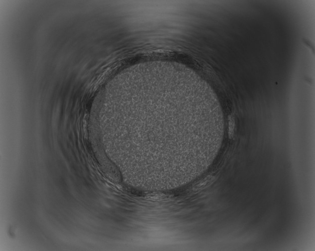 X0000103271059200809261157