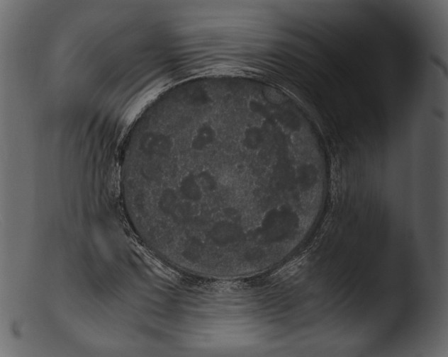 X0000103271067200809261157
