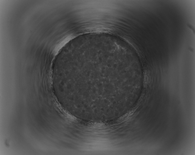 X0000103271071200809261157
