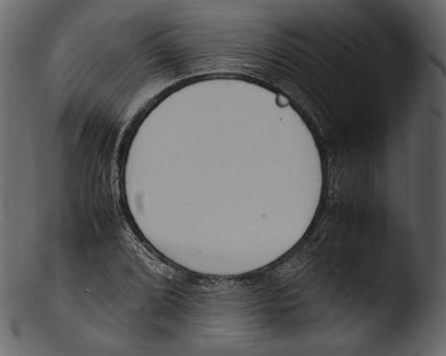 X0000103271072200809261157