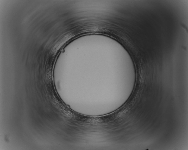X0000103271073200809261157