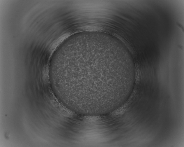 X0000103271074200809261157