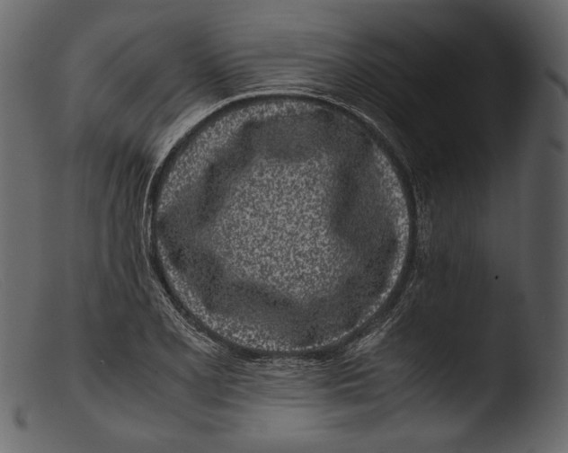 X0000103271077200809261157