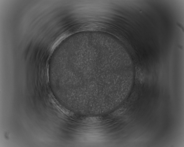 X0000103271078200809261157