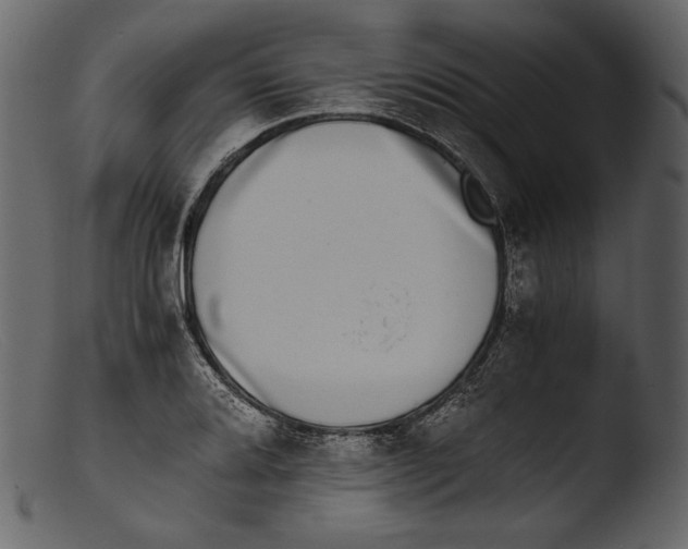X0000103271080200809261157