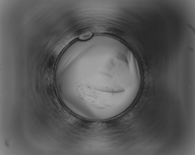 X0000103271081200809261157