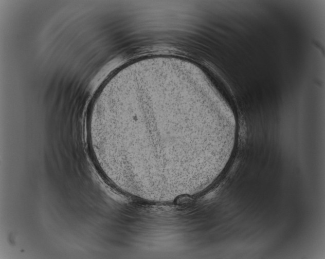 X0000103271082200809261157