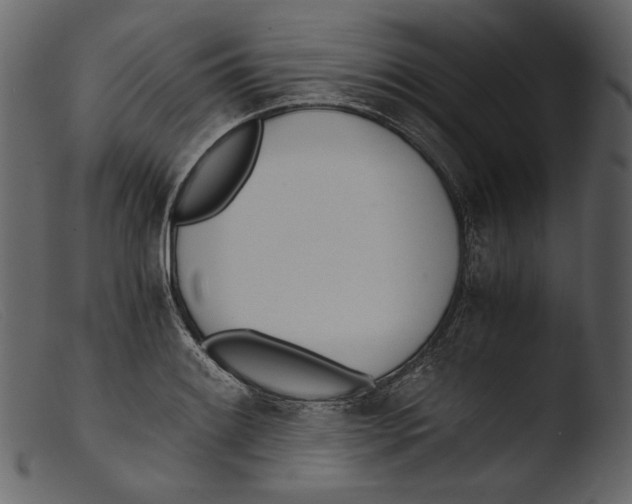 X0000103271084200809261157