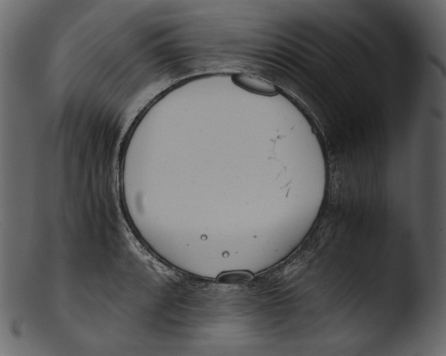 X0000103271088200809261157