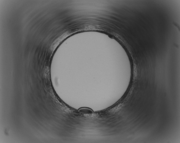 X0000103271089200809261157