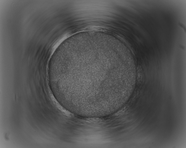 X0000103271091200809261157