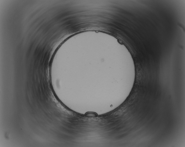 X0000103271092200809261157