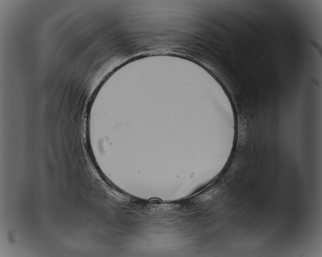 X0000103271093200809261157