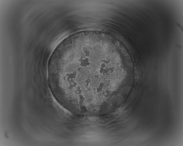X0000103271095200809261157