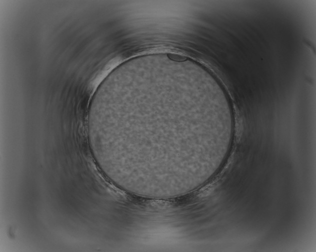 X0000103271097200809261157