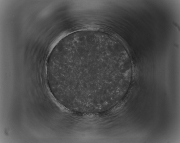 X0000103271099200809261157