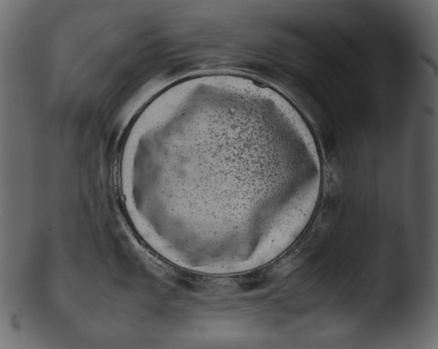 X0000103271101200809261156