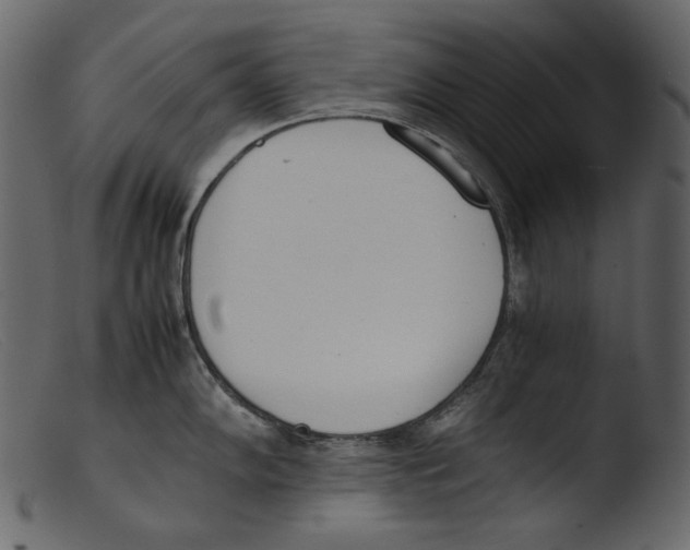 X0000103271102200809261156