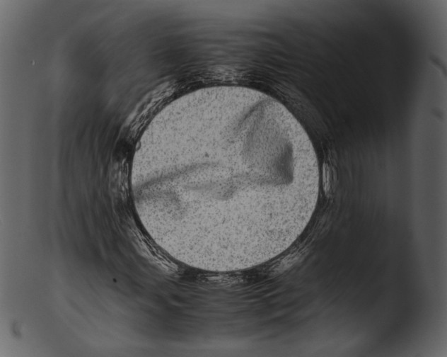 X0000103271107200809261156