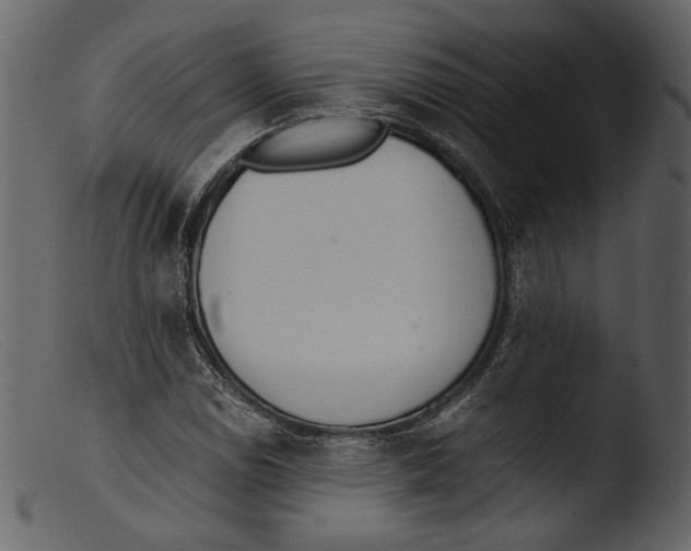 X0000103271114200809261156