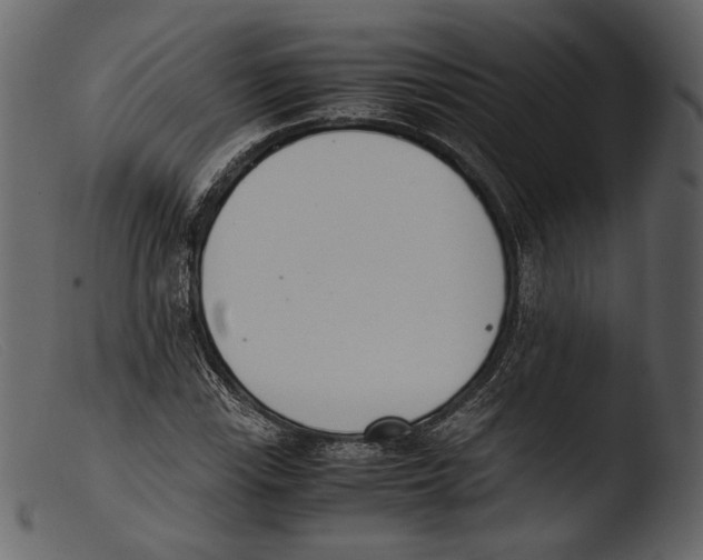 X0000103271115200809261156