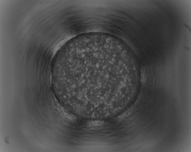 X0000103271117200809261156