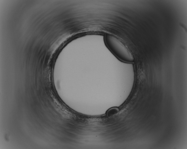 X0000103271118200809261156