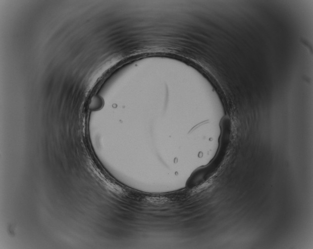 X0000103271119200809261156