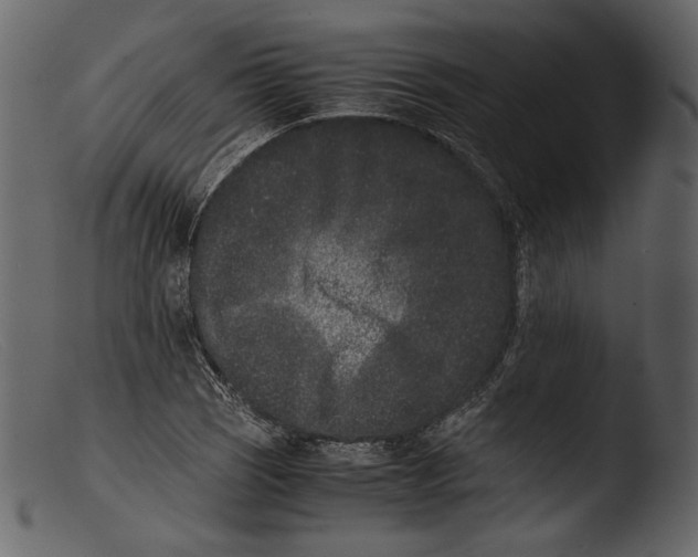 X0000103271121200809261156