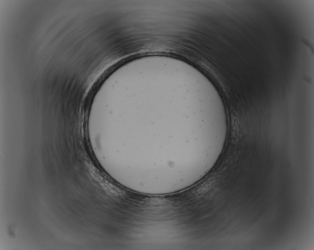 X0000103271124200809261156