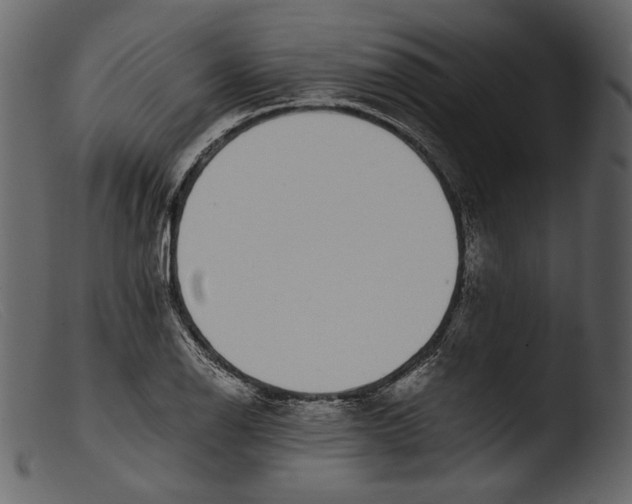 X0000103271126200809261156
