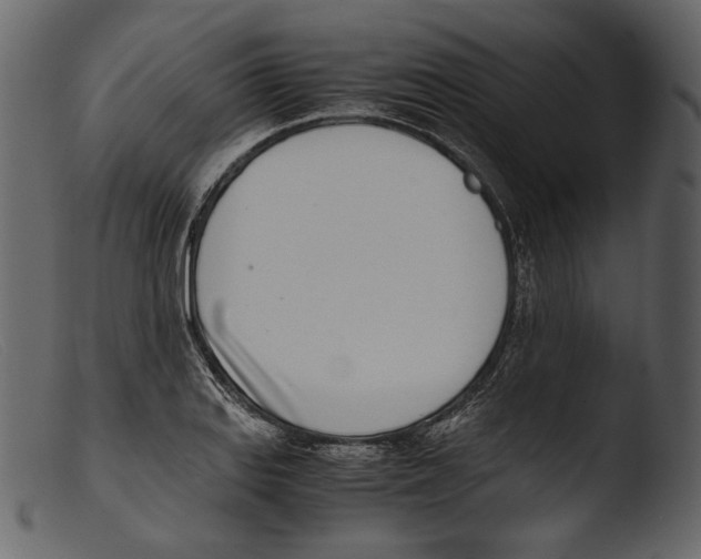 X0000103271127200809261156