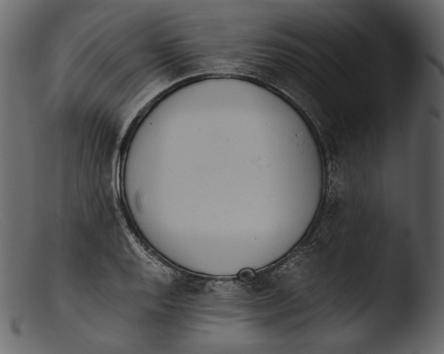 X0000103271128200809261156