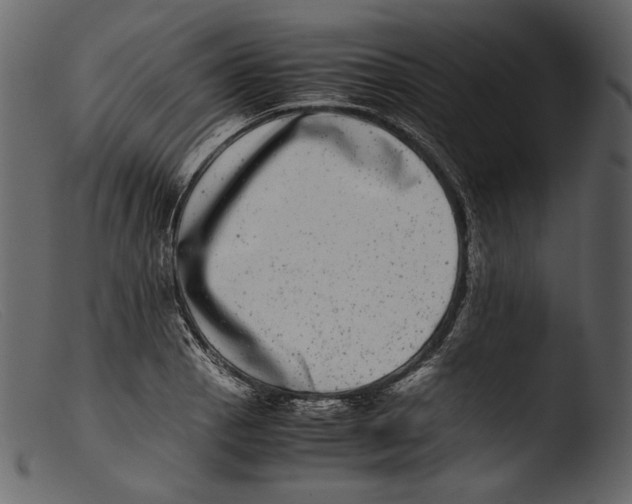 X0000103271129200809261156