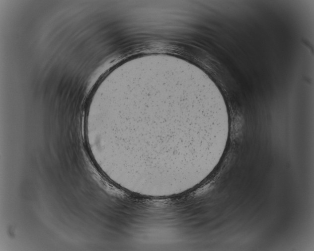 X0000103271130200809261156