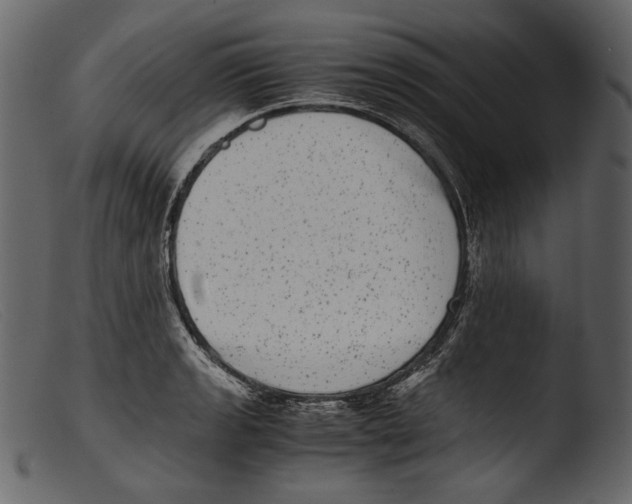 X0000103271133200809261156