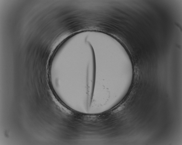 X0000103271135200809261156