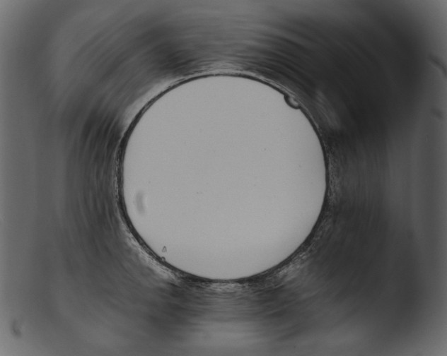 X0000103271142200809261156
