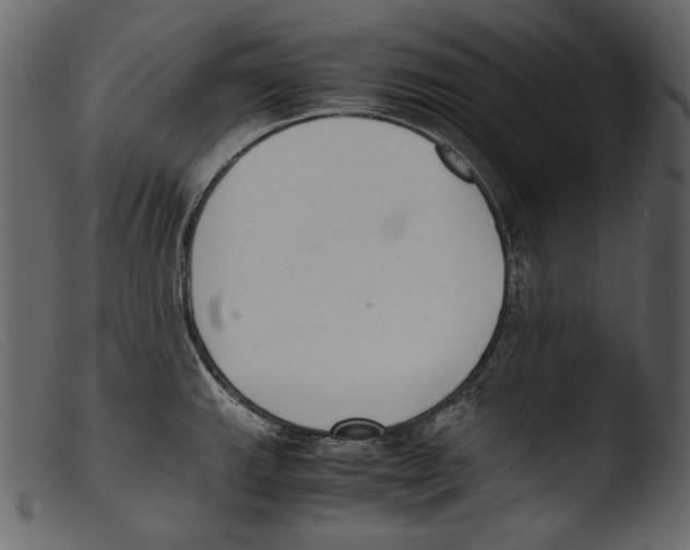 X0000103271143200809261156