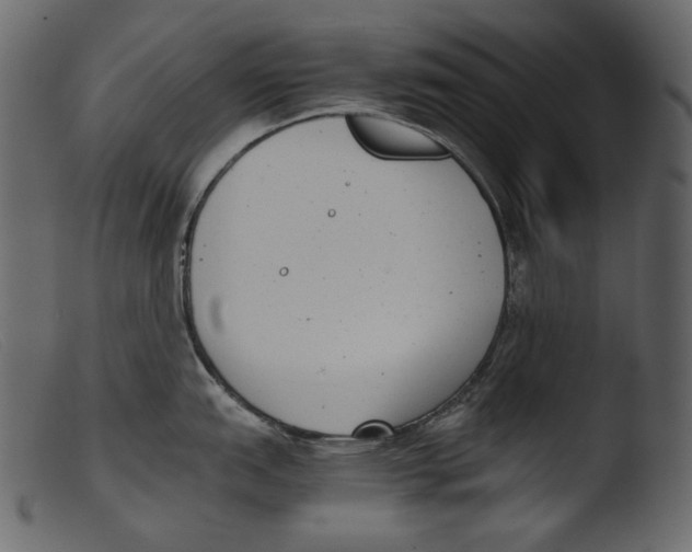 X0000103271151200809261156