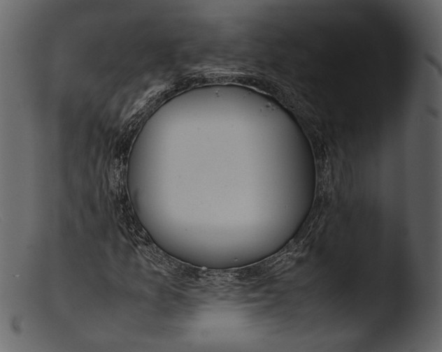 X0000103271157200809261156