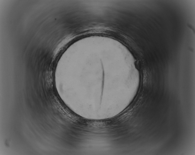 X0000103271164200809261156