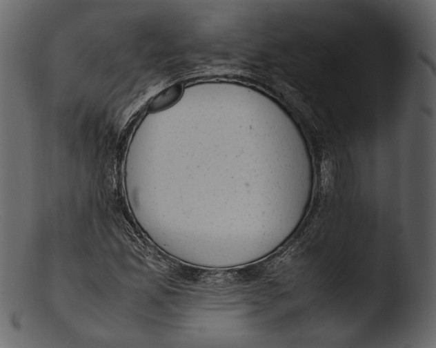 X0000103271165200809261156