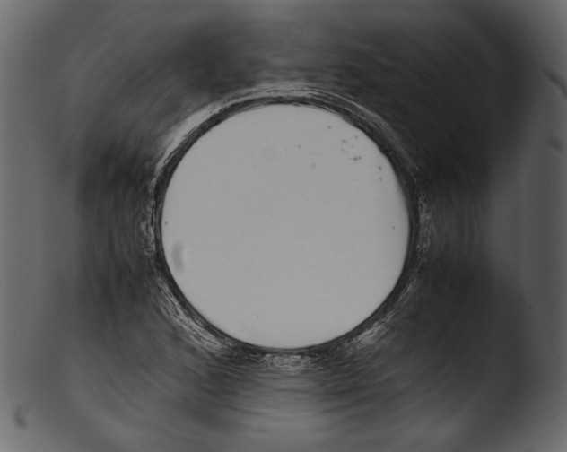 X0000103271168200809261156