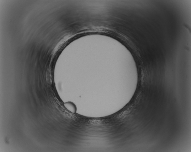 X0000103271172200809261155