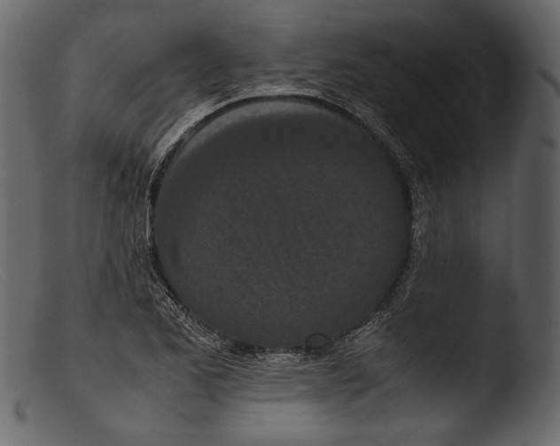 X0000103271173200809261155