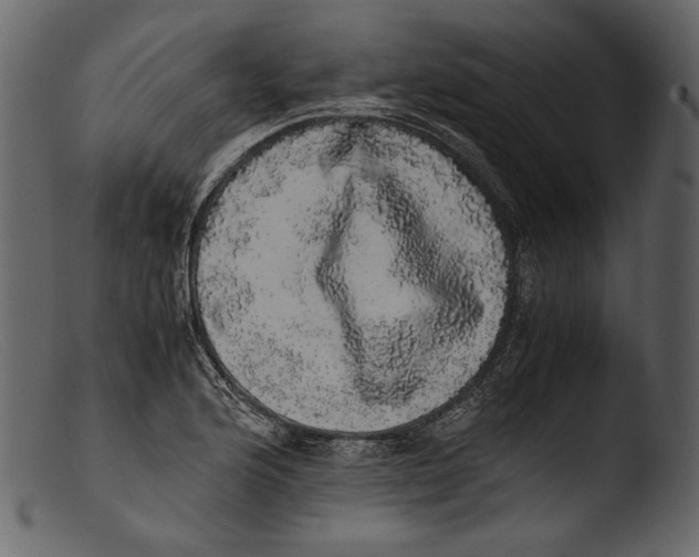 X0000103271176200809261155