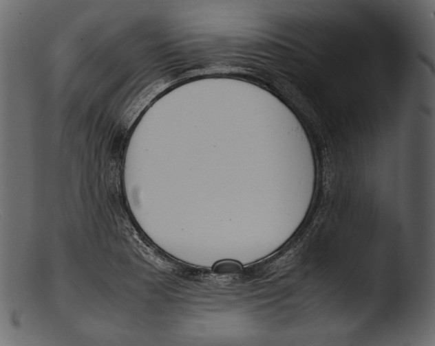 X0000103271177200809261155